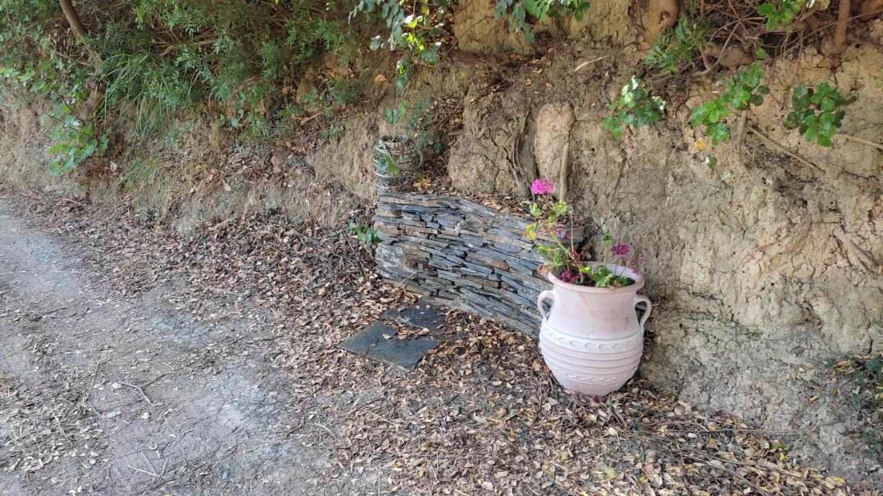 Aiolos Kalamaki  外观 照片